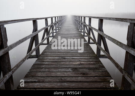 Promenade en bois Federseesteg avec balustrade à un matin brumeux à Bad Buchau, Allemagne, Europe. Banque D'Images