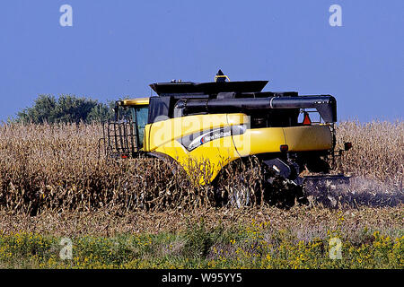 Allen, Kansas, États-Unis, le 26 septembre 2014. Fermier utilise une moissonneuse-batteuse New Holland CR960 de récolter son champ de maïs. Banque D'Images