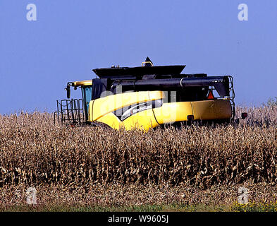 Allen, Kansas, États-Unis, le 26 septembre 2014. Fermier utilise une moissonneuse-batteuse New Holland CR960 de récolter son champ de maïs. Banque D'Images