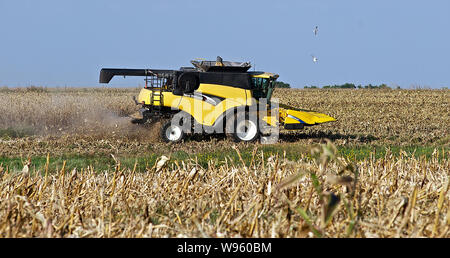 Allen, Kansas, États-Unis, le 26 septembre 2014. Fermier utilise une moissonneuse-batteuse New Holland CR960 de récolter son champ de maïs. Banque D'Images