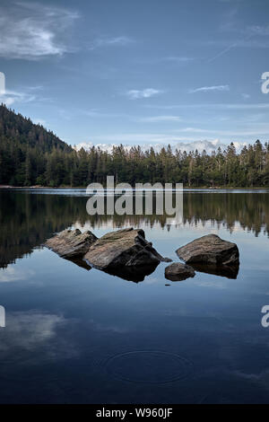 Beau et serein au lac Feldsee Feldberg en Forêt-Noire, Allemagne Banque D'Images