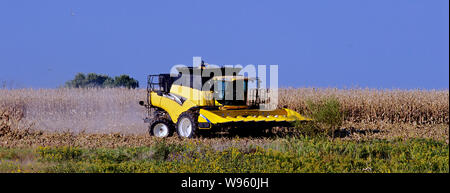 Allen, Kansas, États-Unis, le 26 septembre 2014. Fermier utilise une moissonneuse-batteuse New Holland CR960 de récolter son champ de maïs. Banque D'Images