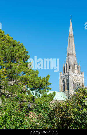 Visite de la cathédrale de Chichester depuis le jardin des évêques un jour d'été avec ciel bleu. Banque D'Images