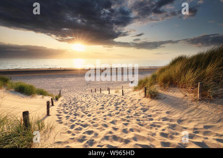 Golden sunset light plus de chemin de sable d'une plage de la mer du Nord entre dunes Banque D'Images