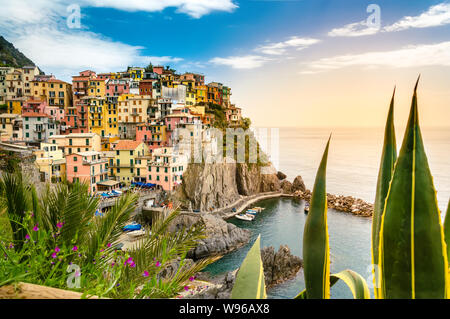 Manarola, Cinque Terre - romantique petit village avec des bâtiments colorés sur la falaise dominant la mer. Parc National des Cinque Terre avec un littoral accidenté est Banque D'Images