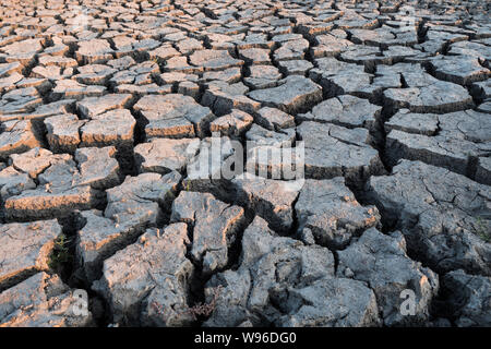 Concept pour la sécheresse - sèche, craquelée, le sol stérile à la rivière lit dans l'Okawango Delta, Botswana Banque D'Images