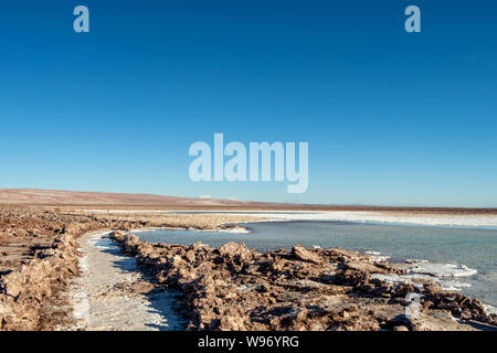 Escondidas Lagunas (trésors cachés) d'Baltinache l'un des lieux secrets du désert d'Atacama, les lagunes turquoise entouré d'une épaisse couche de sel Banque D'Images