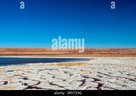 Escondidas Lagunas (trésors cachés) d'Baltinache l'un des lieux secrets du désert d'Atacama, les lagunes turquoise entouré d'une épaisse couche de sel Banque D'Images