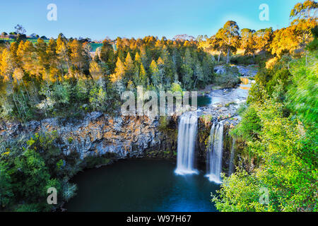 View sur Dangar falls dans la région de Dorrigo National Park près de Dorrigo en ville matin lumière douce avec de l'eau chute d'eau douce jusqu'à la roche extérieure cu Banque D'Images