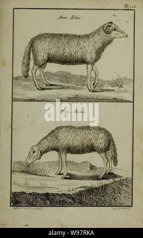 Description, vertus et usages de sept cents dix-neuf plantes (planche 723) (11453474496). Banque D'Images