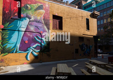 Une murale par NoseGo "Yis' Goodwin ornant la pinte n Bâtiment tranche dans le centre-ville de Fort Wayne (Indiana) dépeint un violet, bleu et vert grenouille. Banque D'Images