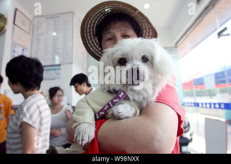 Le propriétaire d'un chien prend son chien pour la vaccination à un hôpital vétérinaire à Shanghai, Chine, 15 mai 2011. Chine Le dimanche a imposé une nouvelle loi, qui interdisent Banque D'Images