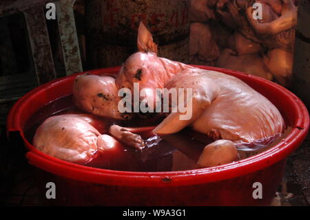 --FILE--Dead dogs dont la fourrure était brûlé sont vus mettre dans un bassin avant que leur viande est vendue à un marché alimentaire, au sud-ouest de la ville de Guiyang Guizhou Chines Banque D'Images