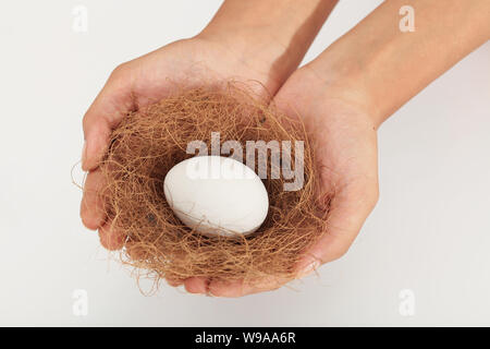 Close up of a person hand holding nest containing egg Stock Photo