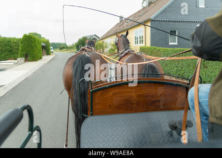 Deux chevaux lourds de Thuringe saxonne (sang chaud) tirer un chariot. Le cocher peut être vu de côté. Ils conduisent sur l'asphalte dans un petit village. Banque D'Images