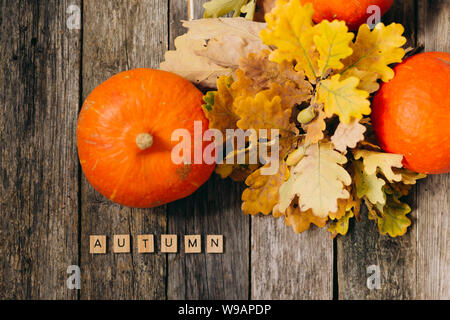 Encore l'automne de la vie. Automne feuilles de chêne et de citrouilles et mot texte automne faits de lettres en bois sur la vieille planche de bois gris. Vue de dessus, style vintage Banque D'Images