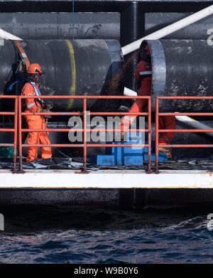 11 août 2019, Mecklembourg-Poméranie-Occidentale, Sassnitz : Sur une plate-forme à la pose de pipeline navire 'Castoro 10' au large de la pointe sud-est de l'île de Rügen, des experts travaillent sur la connexion de deux sections de pipeline de la mer Baltique 2 Nord Stream Pipeline de gaz naturel déjà prévues dans l'année précédente. La nouvelle ligne double sera mis essentiellement parallèle au projet Nord Stream en mer Baltique 1 pipeline, par lesquels l'essence a été découlant de la Russie à Lubmin près de Greifswald depuis 2011. D'après les plans, le nouveau pipeline, qui sera également 1200 kilomètres de long, sera prêt pour operati Banque D'Images