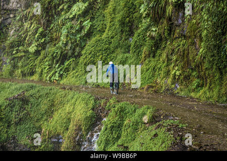 La Cumbre, Bolivia-Jan 3, 2019 : Les participants de la descente de la route la plus dangereuse du monde à La Cumbre col altitude 4700 m , appelé "mort" Banque D'Images