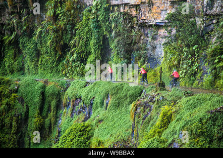 La Cumbre, Bolivia-Jan 3, 2019 : Les participants de la descente de la route la plus dangereuse du monde à La Cumbre col altitude 4700 m , appelé "mort" Banque D'Images