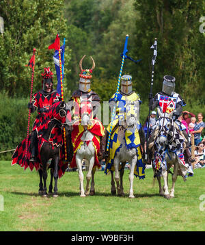 Tournoi de joutes. Banque D'Images