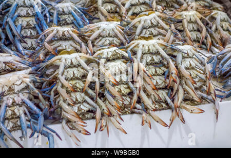 Beaucoup de crabes vu à un marché à Dubaï Banque D'Images