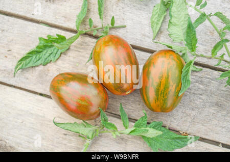 Tiger les tomates cerises. Heirloom tomatoes colorés. Variété de tomates à rayures rouges. Tomates à rayures rouge Banque D'Images
