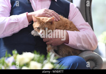 Andrew Hancock de Mansfield, avec son chat, Shortcake fête au Chambre de pompage, en Ollerton, Nottinghamshire, après écopage £1million sur une carte à gratter millionnaire monopole de la loterie nationale. Banque D'Images