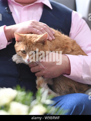 Andrew Hancock de Mansfield, avec son chat, Shortcake fête au Chambre de pompage, en Ollerton, Nottinghamshire, après écopage £1million sur une carte à gratter millionnaire monopole de la loterie nationale. Banque D'Images