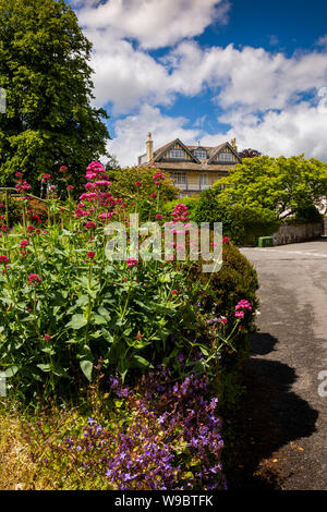 Royaume-uni, Angleterre, Devon, Buckfast, Northgate, fleurs de valériane Centranthus ruber croissant dans wall Banque D'Images