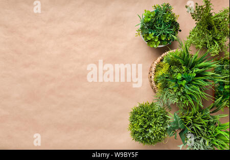 Frontière de l'herbacé de plantes en pot sur fond de papier craft Banque D'Images