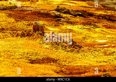 Beaux petits lacs de soufre et de l'Ethiopie. Dallol La dépression Danakil est le meilleur endroit sur Terre en termes de température moyenne toute l'année. C'est SLA Banque D'Images