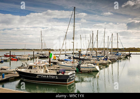 L'Irlande, Leinster, Fingal, Co Dublin, Malahide, Marina, loisirs et voyage de pêche Bateaux amarrés au ponton Banque D'Images