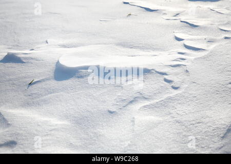 La couverture de neige fermée dans le vent, avec dérive,ressemble à dunes Banque D'Images