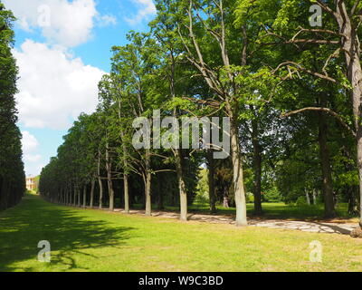 Les forêts à côté de l'orangerie palace Potsdam Allemagne Banque D'Images