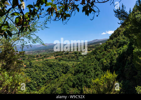 Vue sur la vallée de la Orotava menant à Puerto de La Cruz à Tenerife, Îles Canaries, Espagne Banque D'Images