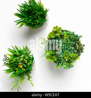 Les plantes en pots ronds d'herbe sur fond blanc Banque D'Images