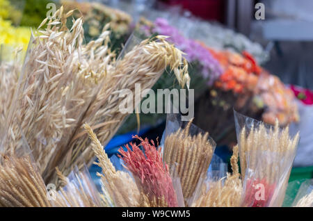 Différentes fleurs marron beige séché, rouge-violet et jaune fleurs d'arrière-plan flou dans Chiang Mai, Thaïlande, du marché 08/2019 Banque D'Images