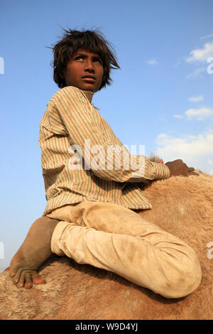 Garçon tsigane au chameau de Pushkar, Rajasthan équitable. La foire est la plus grande foire de chameaux en Inde. Banque D'Images