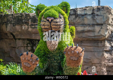 Tampa Bay, en Floride. 08 août. 2019 topiarie magnifique tigre sur fond de pierre à Busch Garden Banque D'Images