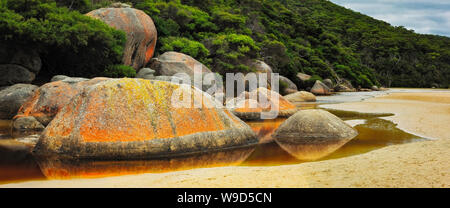 Certains des grands rochers sur la plage normande sur Wilson's Promontory Banque D'Images