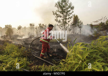 Riau, l'Indonésie. Août 13, 2019. Un pompier essaie d'éteindre le feu au village de Kampar en Tarai Bangun, dans la province de Riau, l'Indonésie, le 13 août, 2019. Cinq provinces de l'Indonésie à Sumatra et Kalimantan ont déclaré l'état d'incendie de forêt en raison vaste incendie dans leur forêt récemment. Selon les données publiées de la foresterie et de l'environnement indonésien, le mardi, le total des zones touchées par les incendies de forêt ont été 135 749 hectares, principalement dans East Nusa Tenggara (NTT), Riau, Kalimantan du Sud et Kalimantan oriental. /Vavaldi Hadly Crédit : Crédit : Xinhua Xinhua/Alamy Live News Banque D'Images