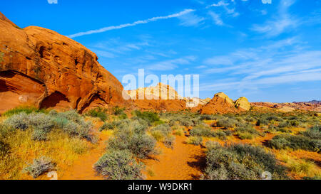 Montagnes de Grès colorés au lever du soleil sur le Rainbow Vista Trail dans le parc national de la Vallée de Feu au Nevada, USA Banque D'Images