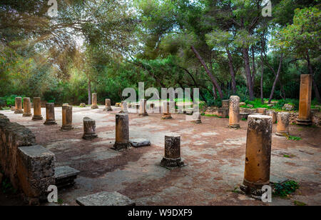 L'Algérie, Ville Tipazza, ruines romaines de Tipazza City, le forum Banque D'Images