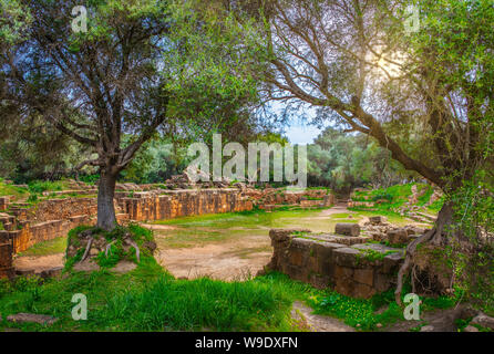 L'Algérie, Ville Tipazza, ruines romaines de Tipazza City, le cirque, l'arène, Banque D'Images