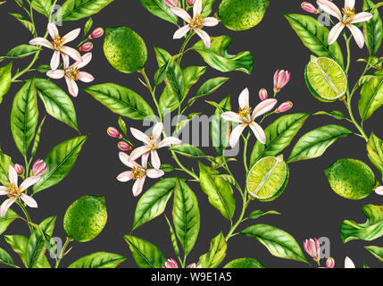Direction générale de la Lime modèle transparent aquarelle arbre fruitier avec fleurs floral botanique réaliste surface design : toute la moitié des feuilles d'agrumes sur beige crème Banque D'Images