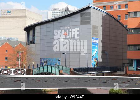 BIRMINGHAM, UK - 19 avril 2013 : la National Sea Life Centre à Birmingham, Royaume-Uni. Il a ouvert ses portes en 1996 et a des hippocampes, des requins, raies et des loutres. Banque D'Images