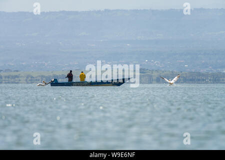 Pêcheur kenyan en petit bateau tout en pêche des pélicans flottent sur le lac, le lac de Naivaasha, Kenya, Afrique de l'Est Banque D'Images