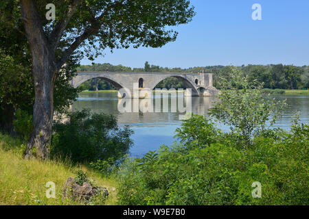 Célèbre Pont de Saint Bénézet sur le Petit Rhône à Avignon, une commune française, située dans le sud-est de la France dans le département du Vaucluse, sur la rive gauche du Rhône Banque D'Images