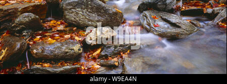 USA. Le Vermont. Smugglers Notch. Flux avec des rochers et de feuilles d'automne. Banque D'Images