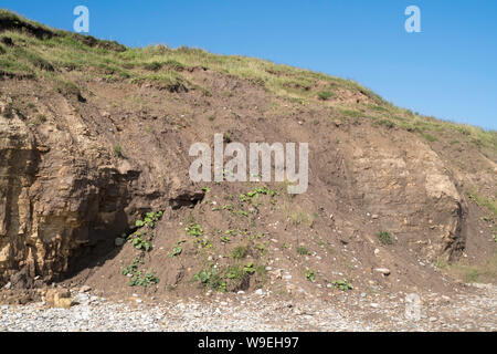 Glissement de terrain à la suite de fortes pluies au-dessus des falaises de Seaham North Beach, dans le comté de Durham, England, UK Banque D'Images